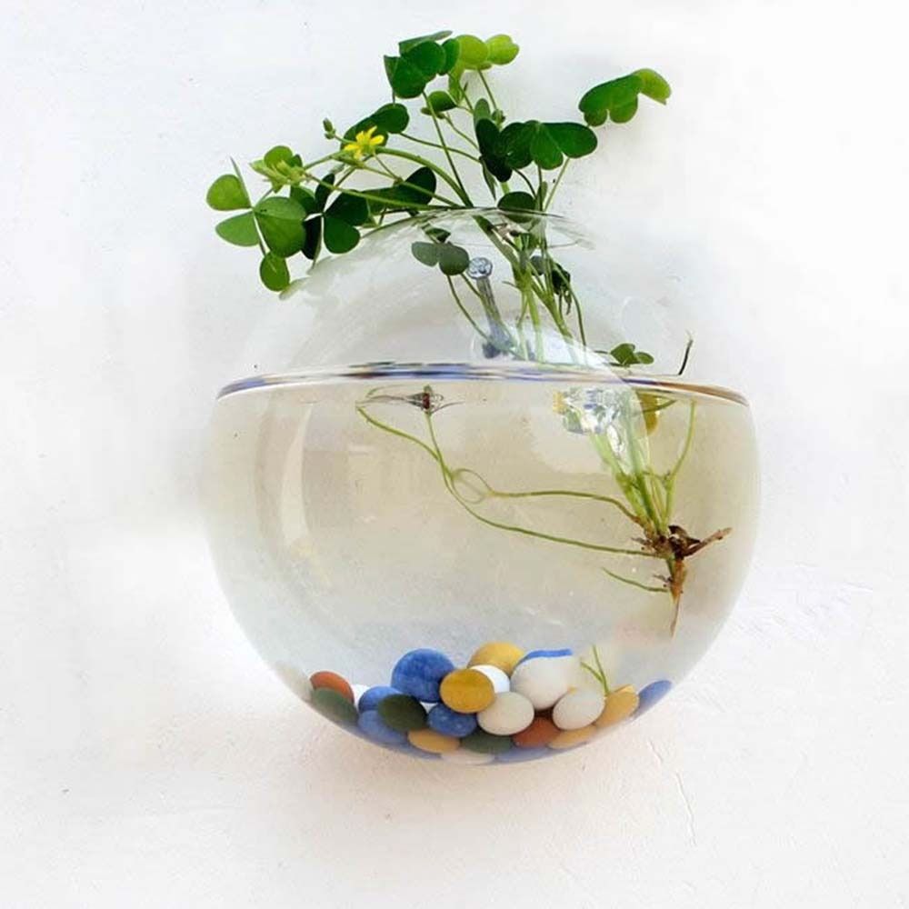 زهرية زجاجية شفافة ، معلقة على - مراجعة Flower Wall Panel وسعره